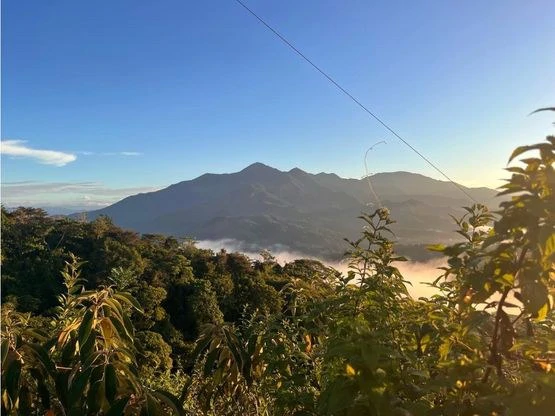 SPECTACULAR ECOLOGICAL MOUNTAIN FARM IN BIJAGUAL DE TURRUBARES - Gallery image 7