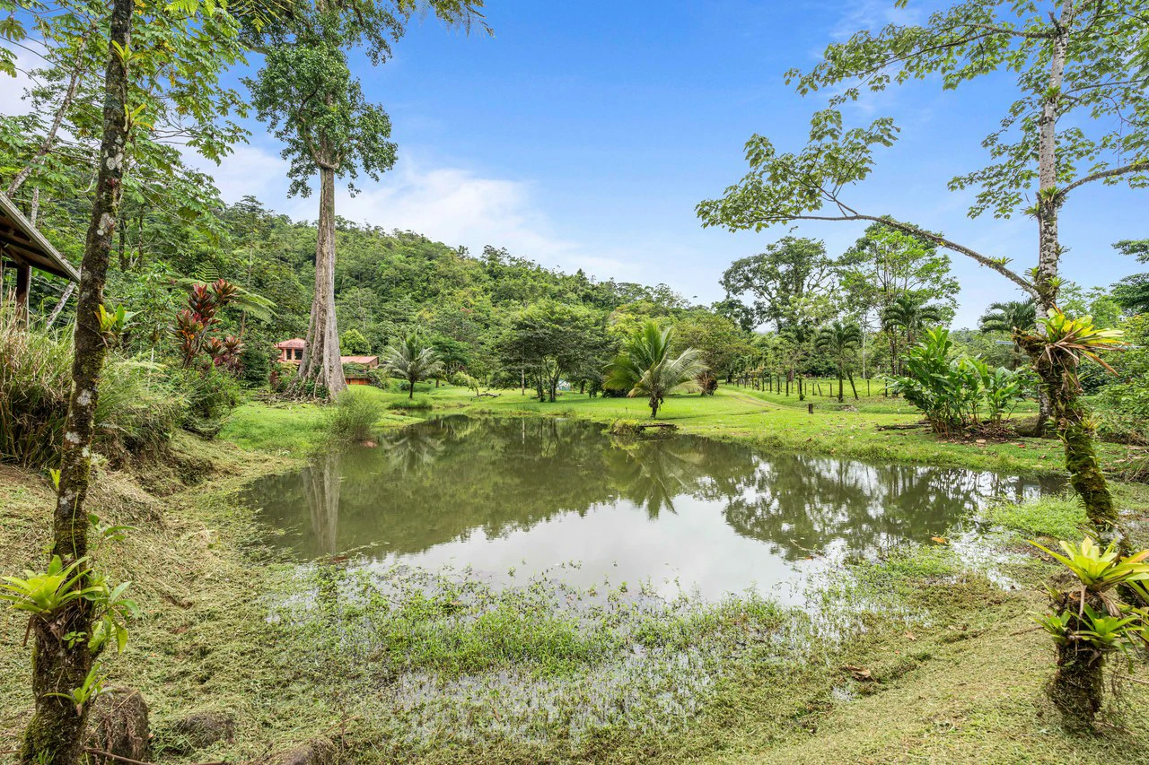 Finca Mei Tai: Enchanting property! Don't miss your chance to own a piece of paradise! - Gallery image 53
