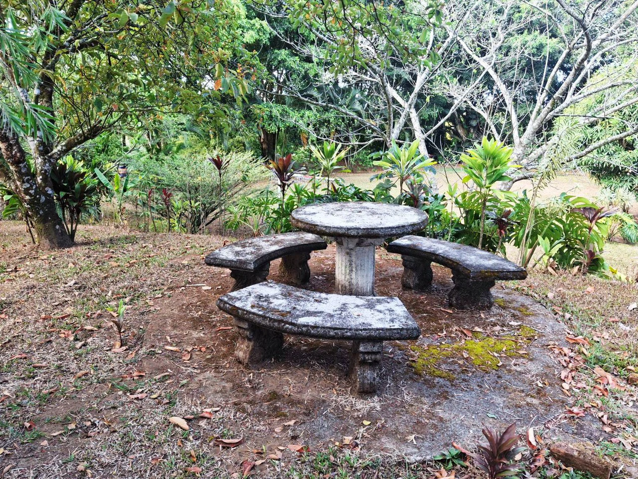 Simple and Private...: Simple Chalet in Nature with Pool! - Gallery image 16