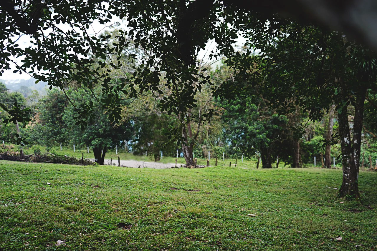 LAGO AZUL: Lake View lot of just under 1 acre - Gallery image 9