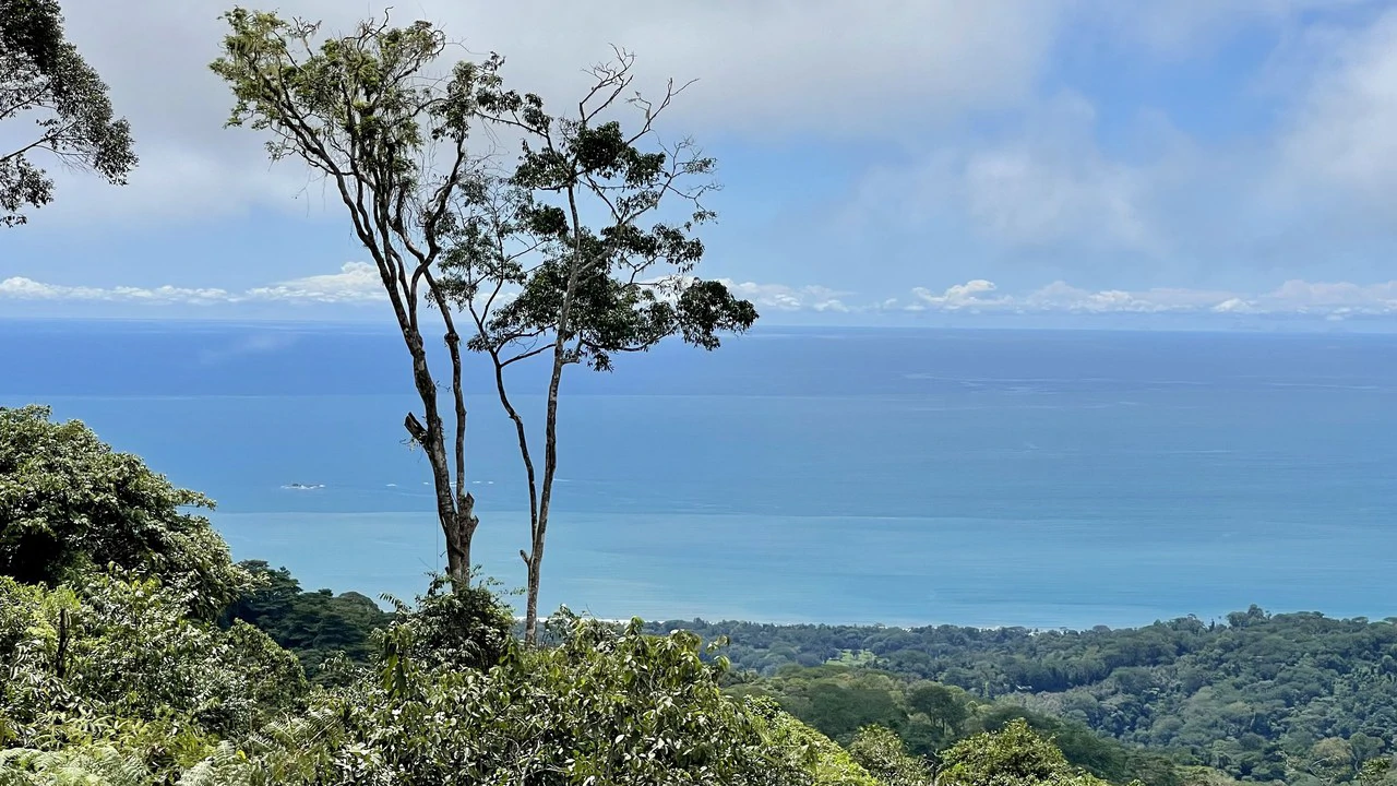Los Nenes: Mountain Home Construction Site For Sale in Uvita - Gallery image 4