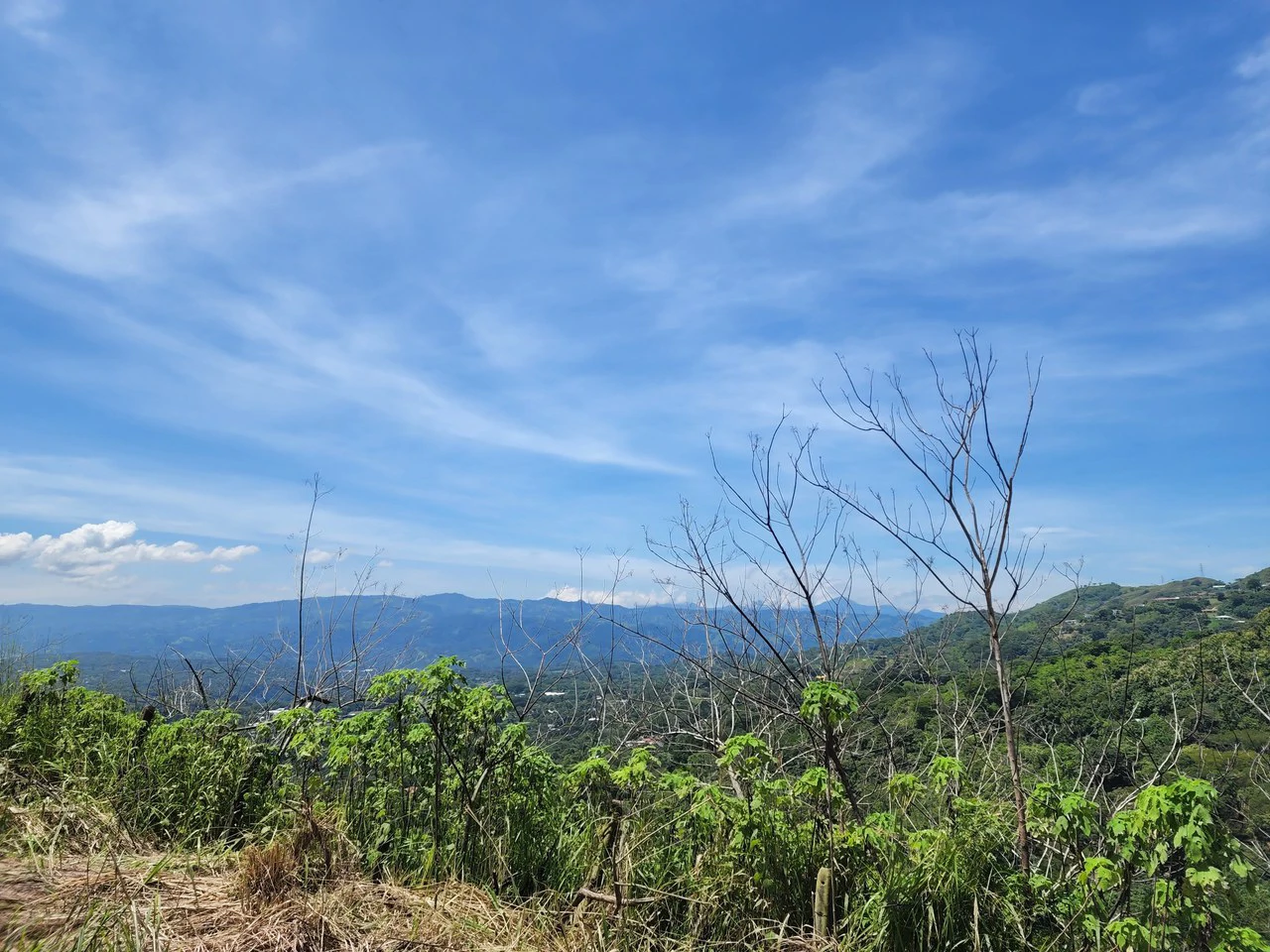 Countryside Home Construction Site For Sale in Atenas - Gallery image 12