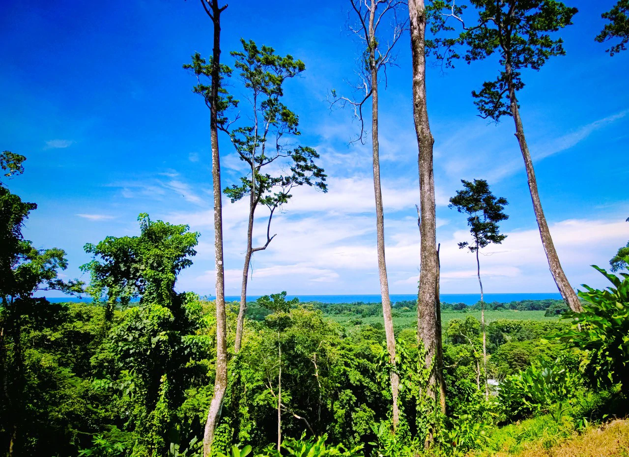 ID 4193: Ocean View Residential Lot for Sale near Puerto Viejo, Caribbean Costa Rica - Gallery image 22