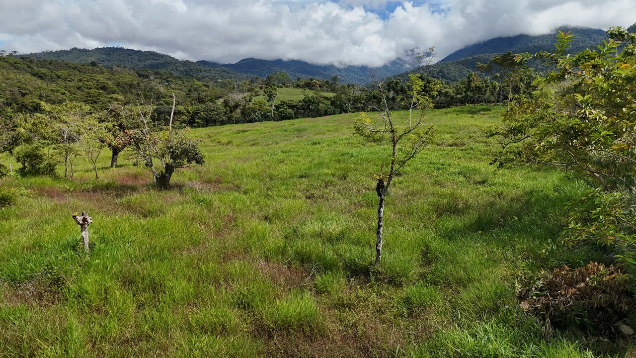 Countryside Home Construction Site For Sale in Santa Elena - Gallery image 4