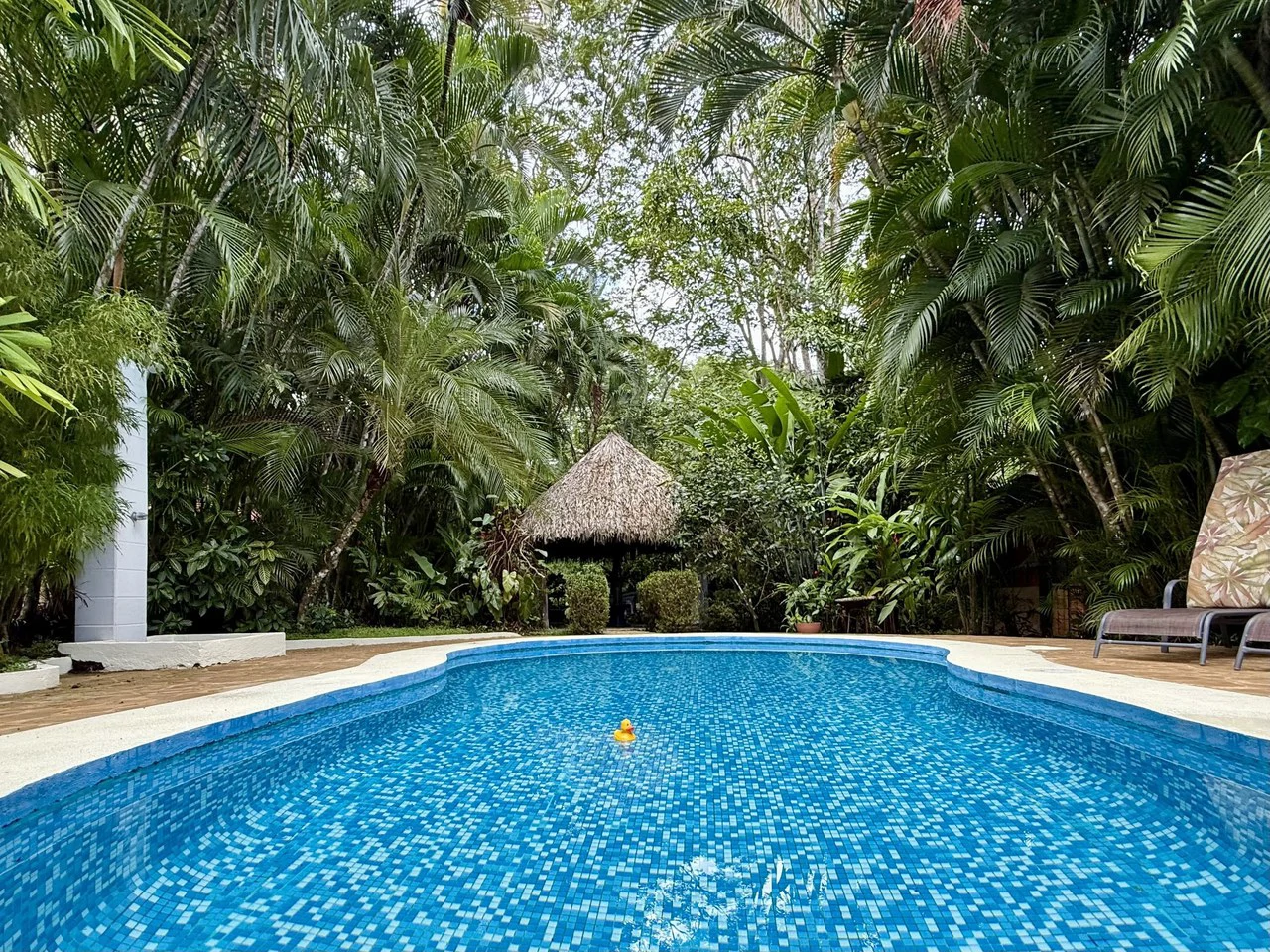 Semi 428: Tropical Paradise With Complete Privacy — Your Dream Escape Awaits! - Gallery image 2