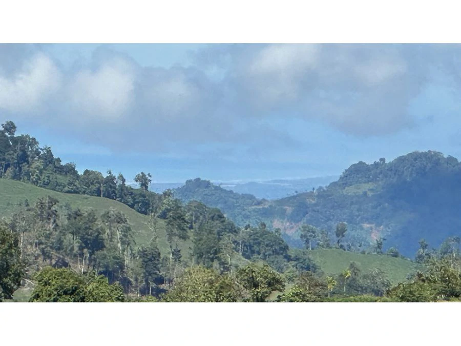 BEAUTIFUL MOUNTAIN VIEW FINCA WITH CABIN IN RIO NUEVO - Gallery image 18