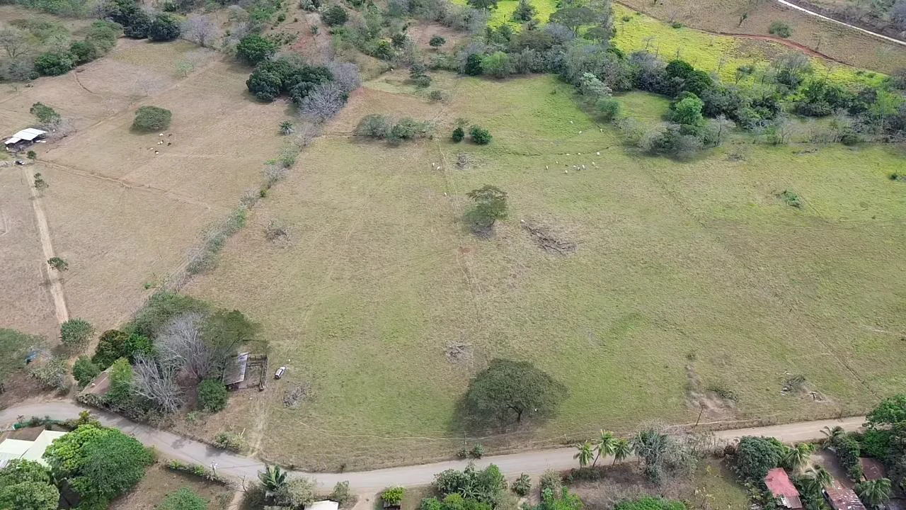 Land in Pilas de Bejuco: 19 Hectares in Pilas de Bejuco - photo 6