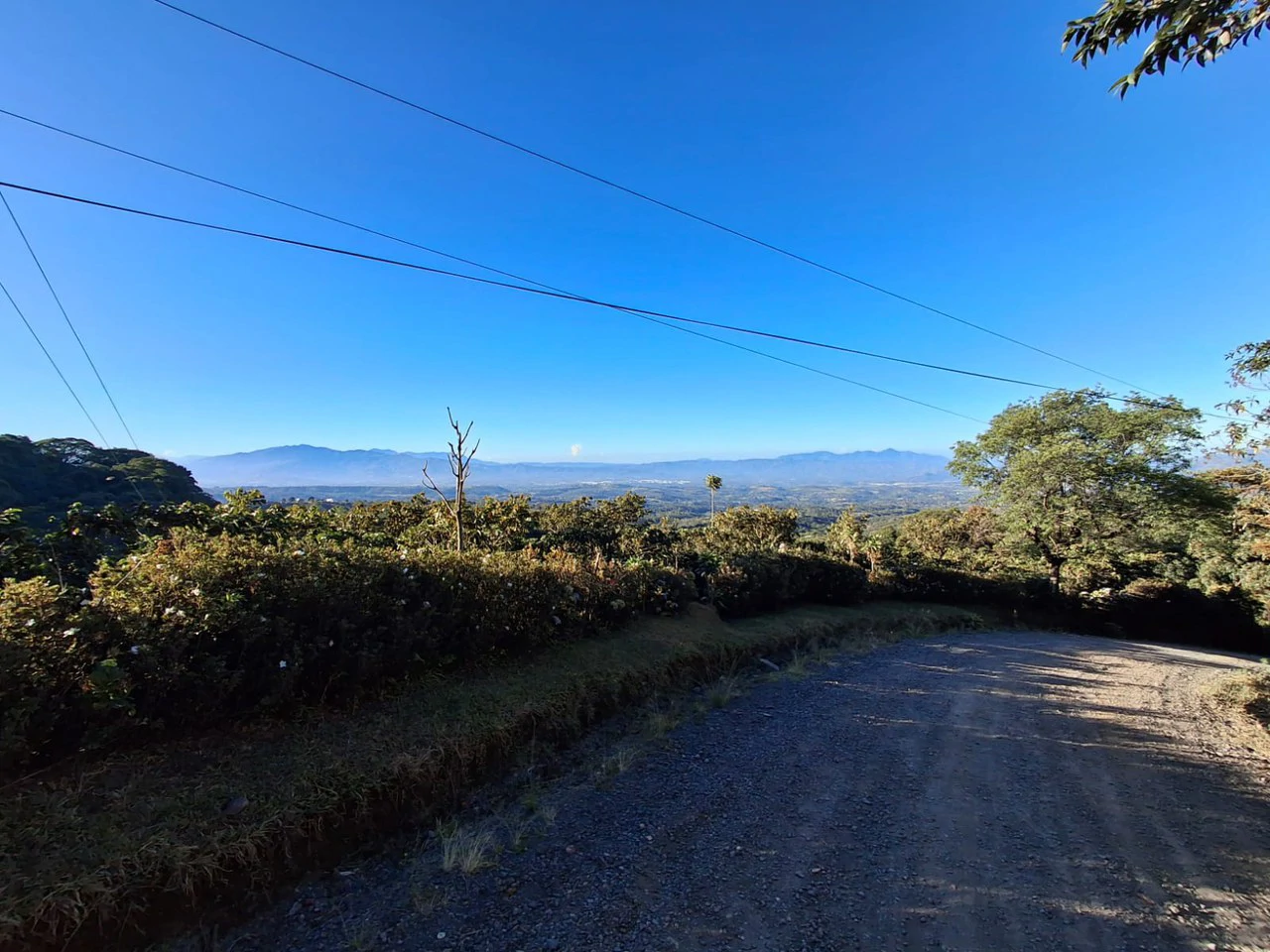 Cafetalero or Developer?: 25,378 m2 with Views of the Central Valley!! - Gallery image 2