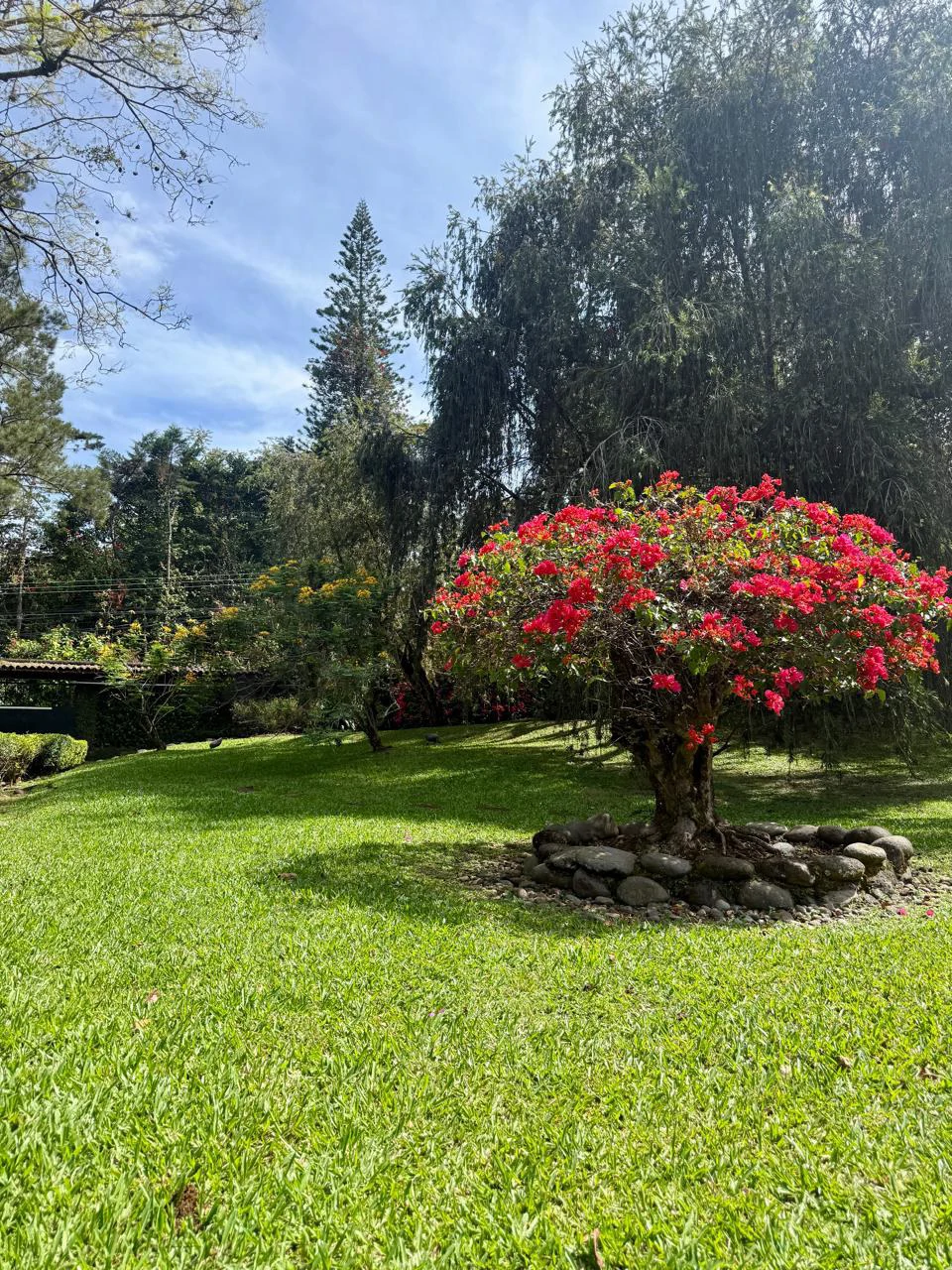 Detached single-family home for sale Costa Rica Escazu with big garden - Gallery image 25