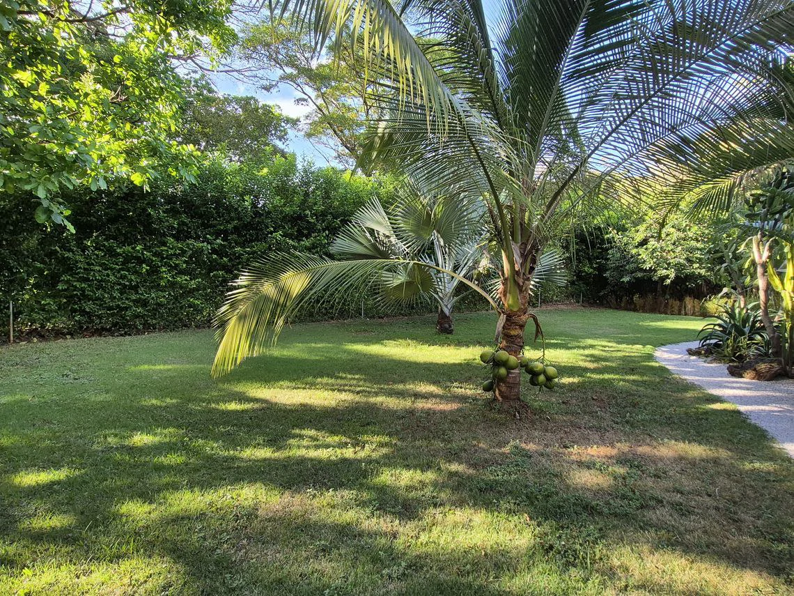 Casa Del Rio: Under Contract | Elegant Contemporary Tropical Home with Pool and Peaceful River Setting, Minutes from Sámara - Gallery image 7