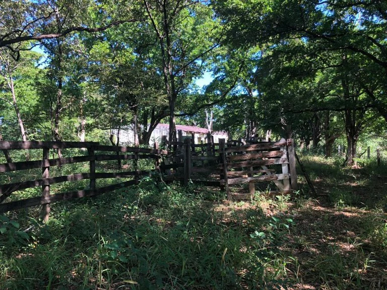 HIGHWAY TO HEAVEN: Commercial potential ! Large property on the Panamerican Highway. - Gallery image 8