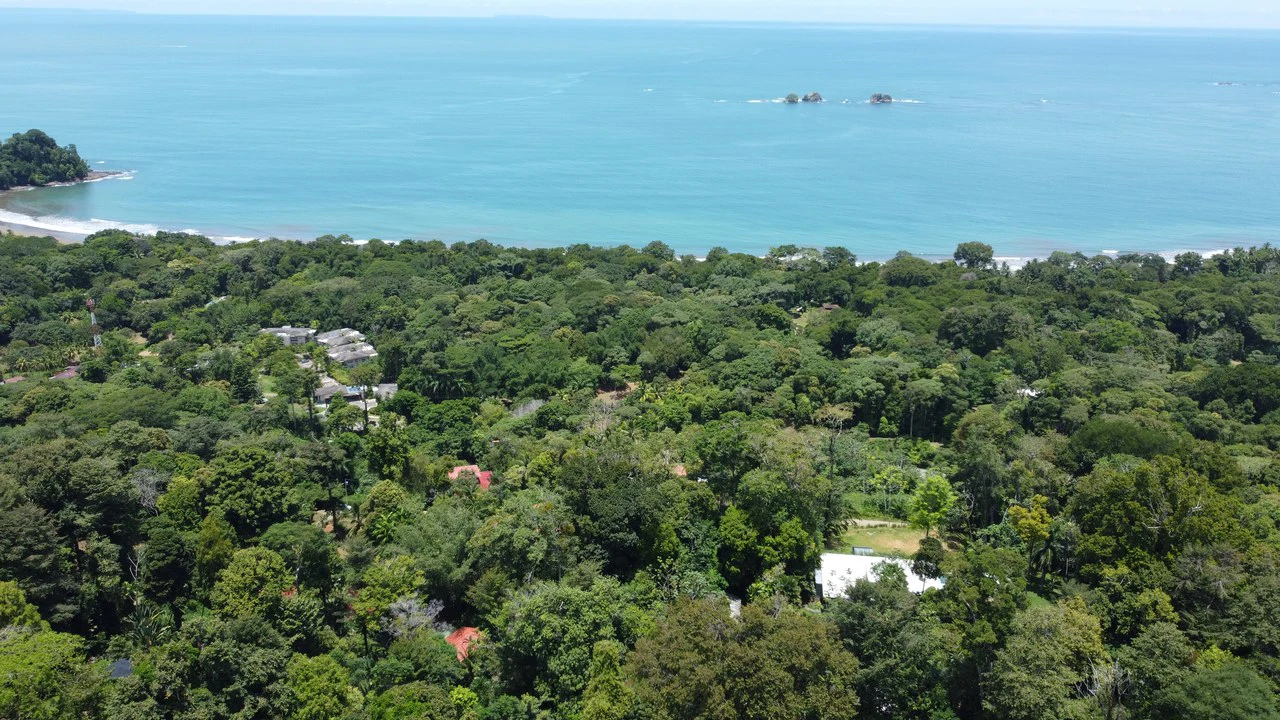 1.6 Acres Land Parcel in Ballena, Jungle Views.: Mountain Home Construction Site For Sale in Bahía Ballena - Gallery image 4