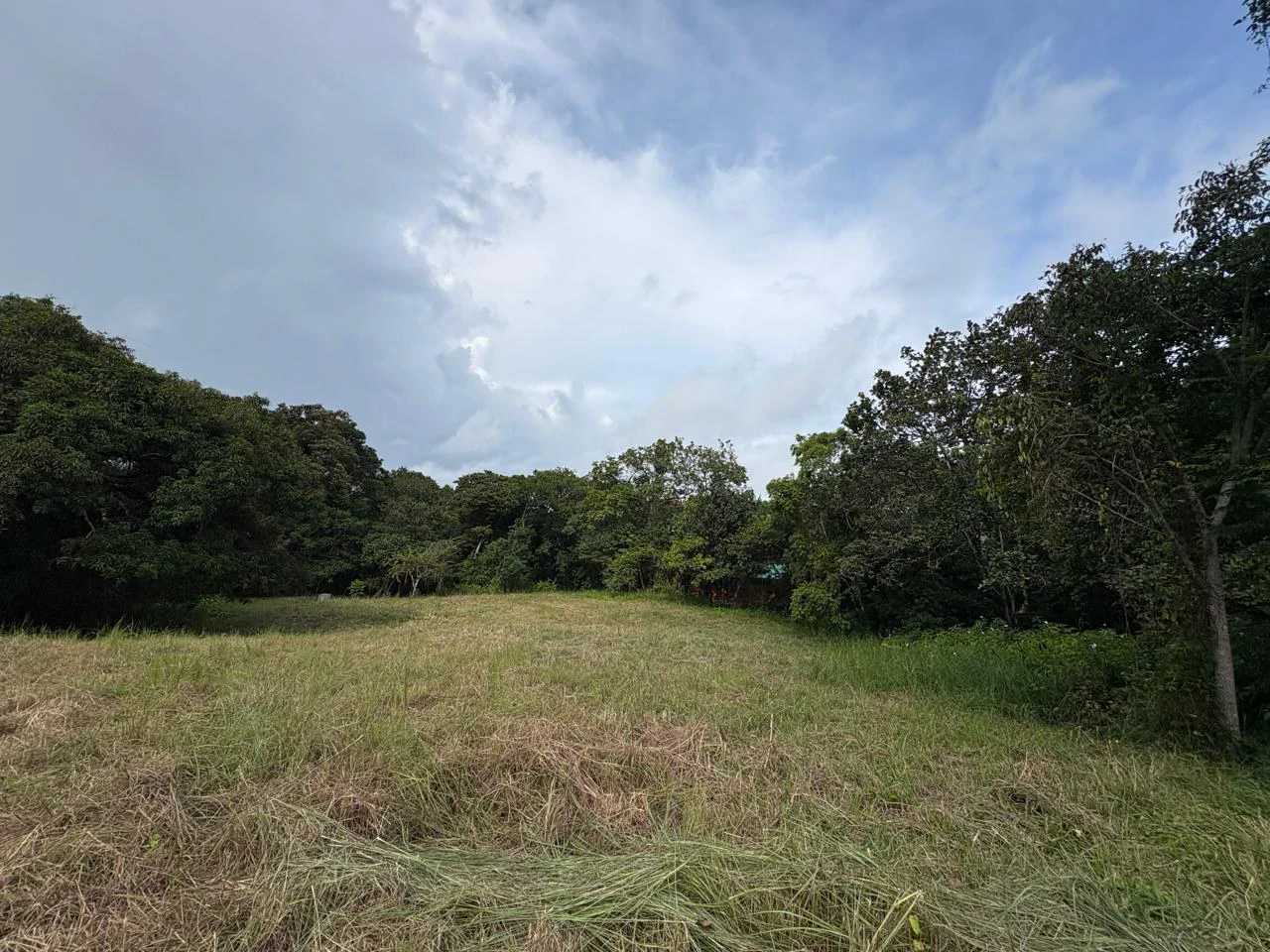 6000m2 Land Near Montezuma and Santa Teresa: ixed use, commercial and residential - Gallery image 5