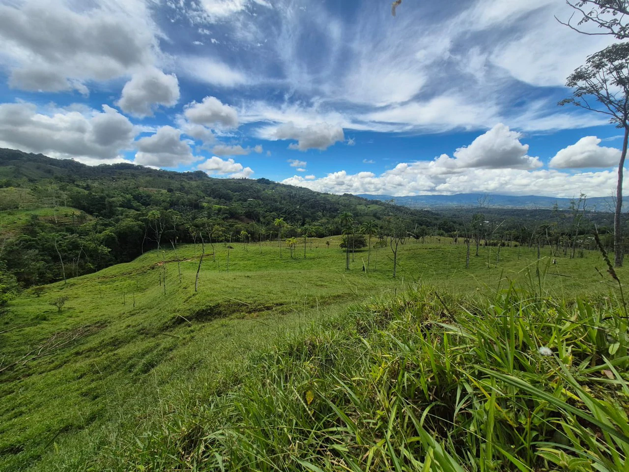 Countryside Agricultural Land For Sale in Centro de Pérez Zeledón - Gallery image 16