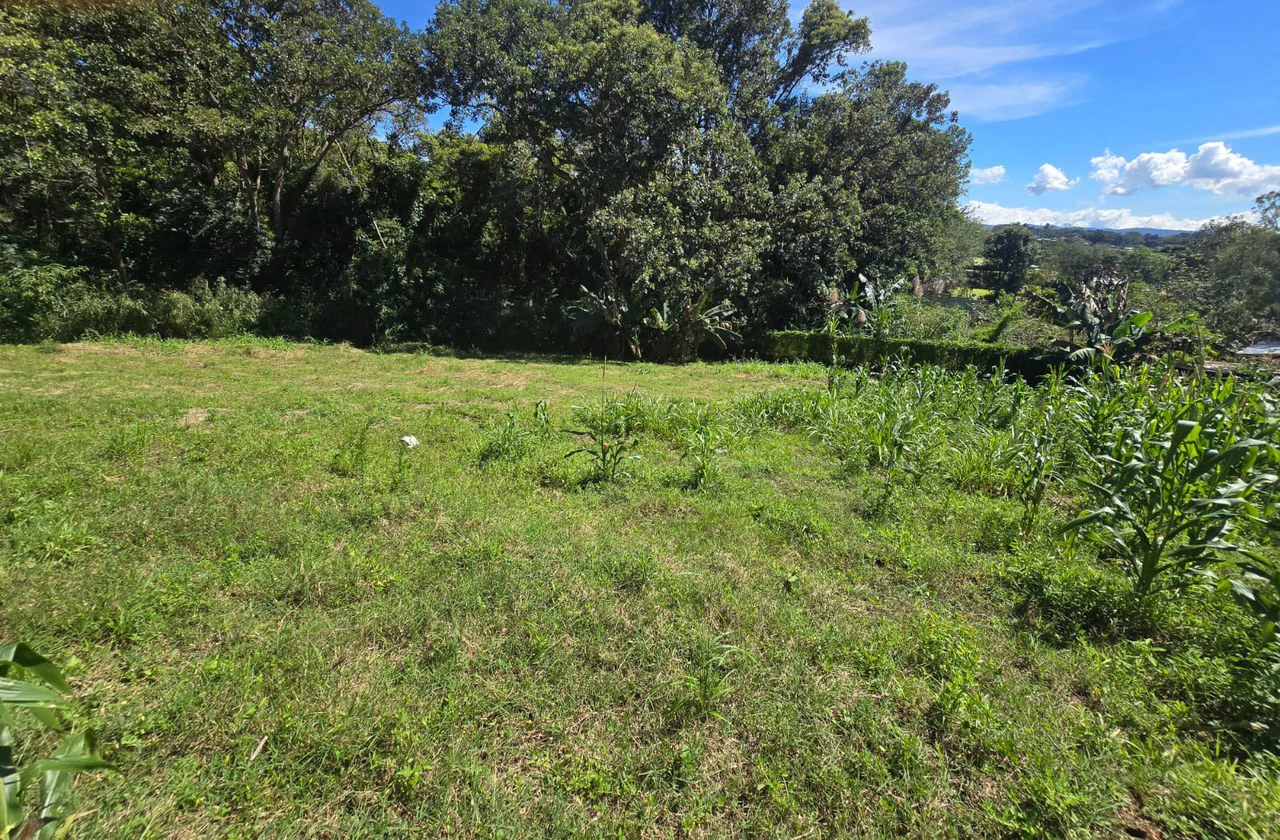 Land for sale in Tambor, Alajuela - Gallery image 11