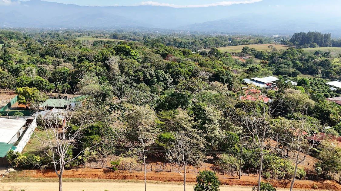 Home Construction Site For Sale in La Ceniza - Gallery image 15