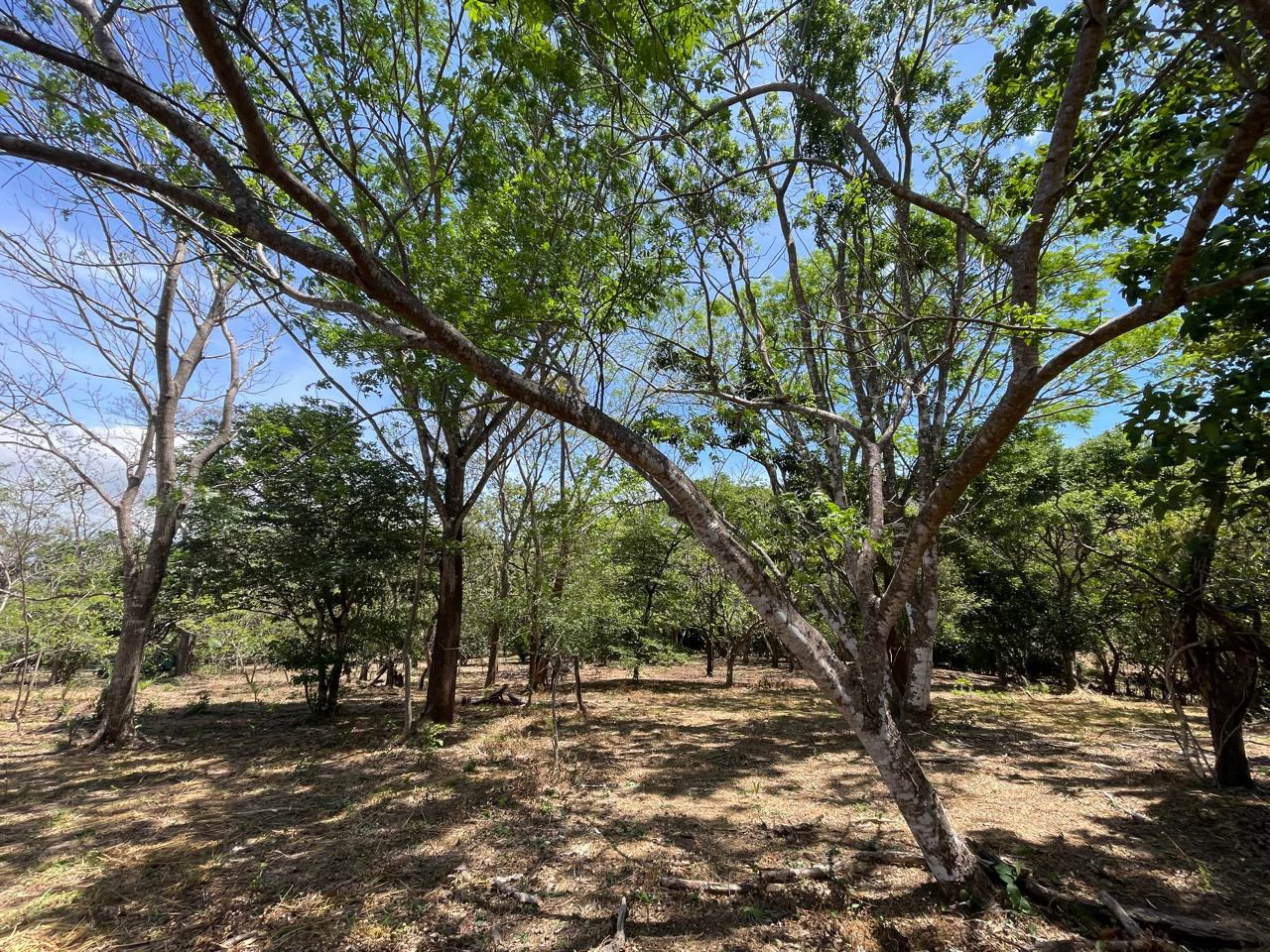 Ocean view property for sale Rodeo Ciudad Colon San Jose Costa Rica - Gallery image 17