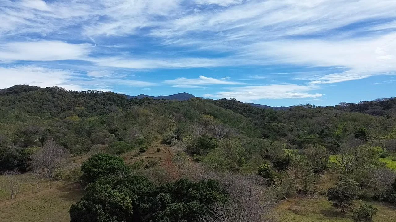 Land in Pilas de Bejuco: 19 Hectares in Pilas de Bejuco - photo 5