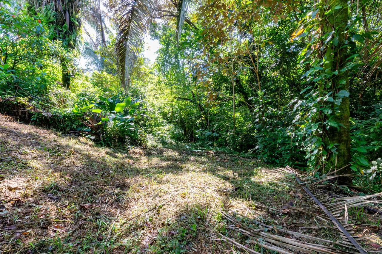 Surfers Paradise! Two Usable Lots for Building in Playa Hermosa Near Uvita!!: Mountain Home Construction Site For Sale in Playa Hermosa - Gallery image 15