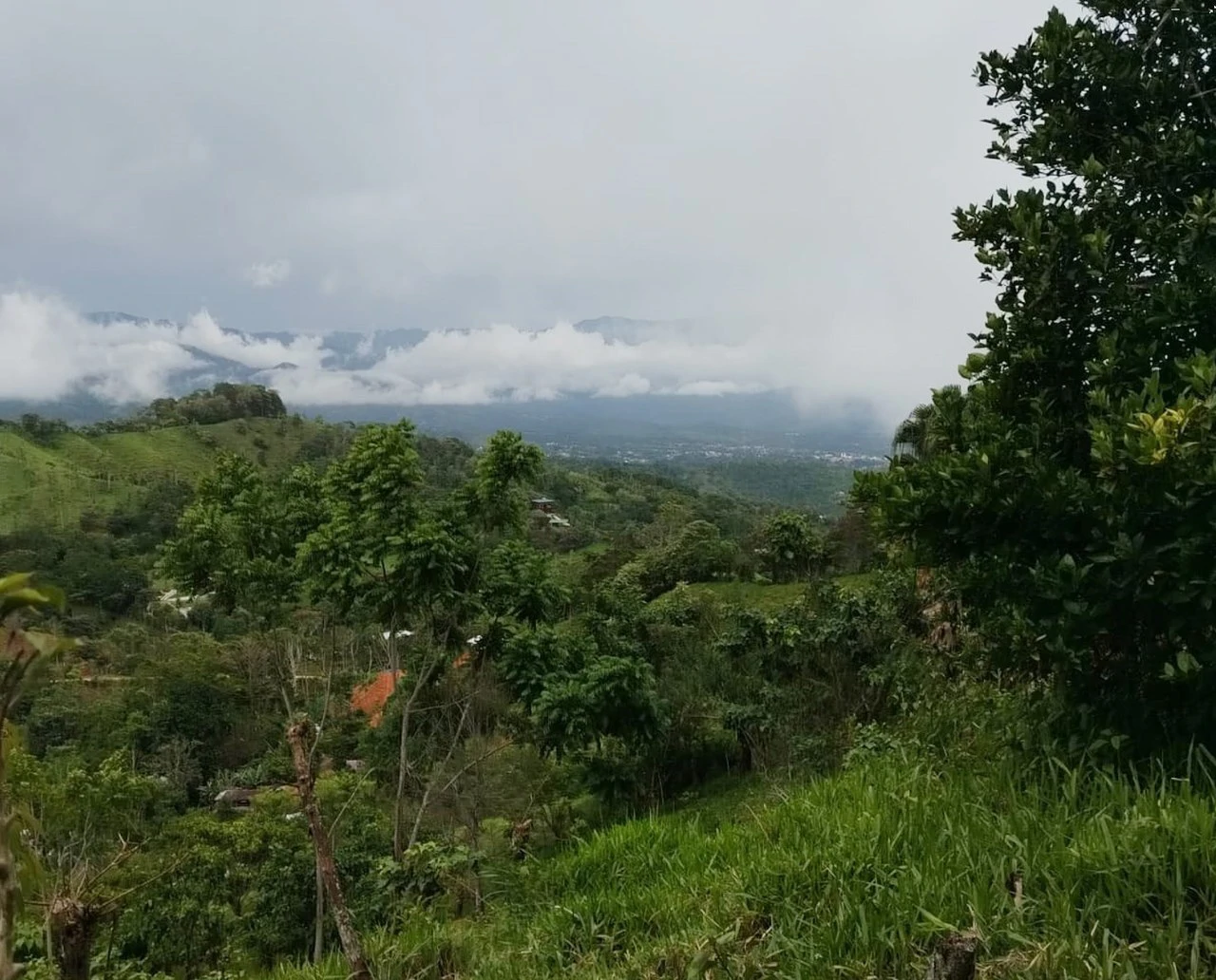 Beautiful Farm in La Guaria with Endless Opportunities!
