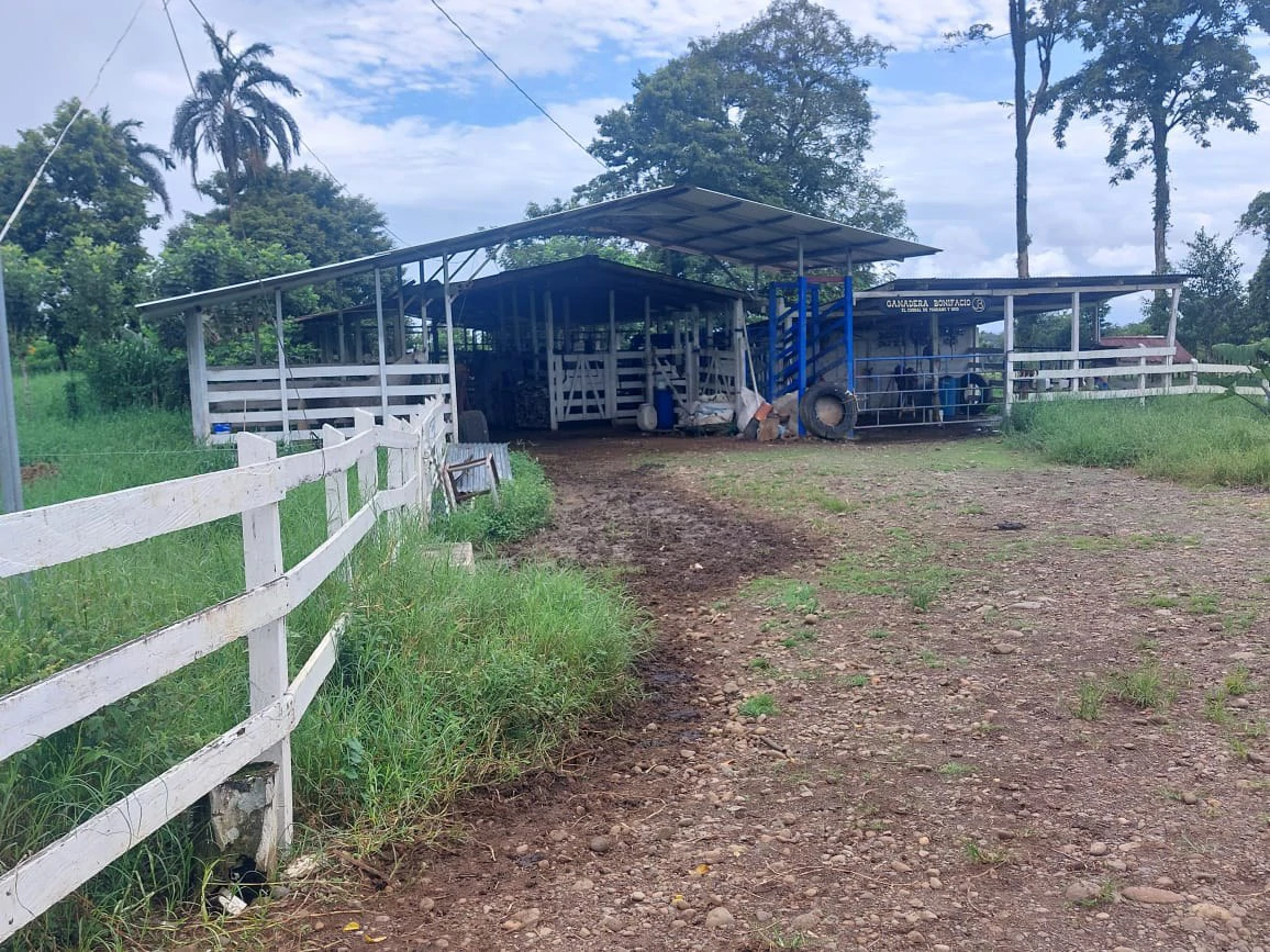 Spectacular Working Cattle Ranch, Guácimo, Limón, Costa Rica 80 ha / 197.6 Acres: Spectacular Working Cattle Ranch, Guácimo, Limón, Costa Rica 80 ha / 197.6 Acres - Gallery image 9