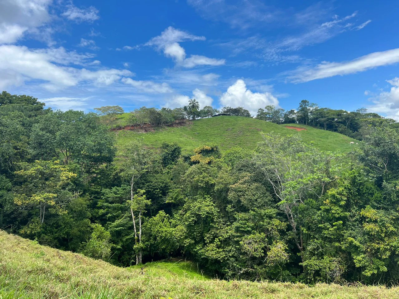47 ACRES – Beautiful Mountain View Farm With Many Water Sources and Many Building Areas!!!! - Gallery image 17