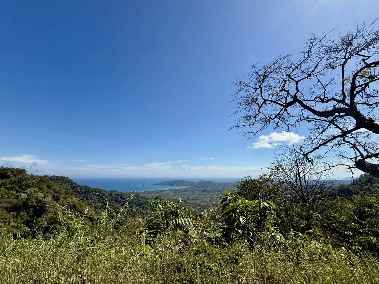 Casa Miramar: $1,000,000 Million Buys you your very own Private Mountain Paradise with Ocean View ! - Gallery image 26