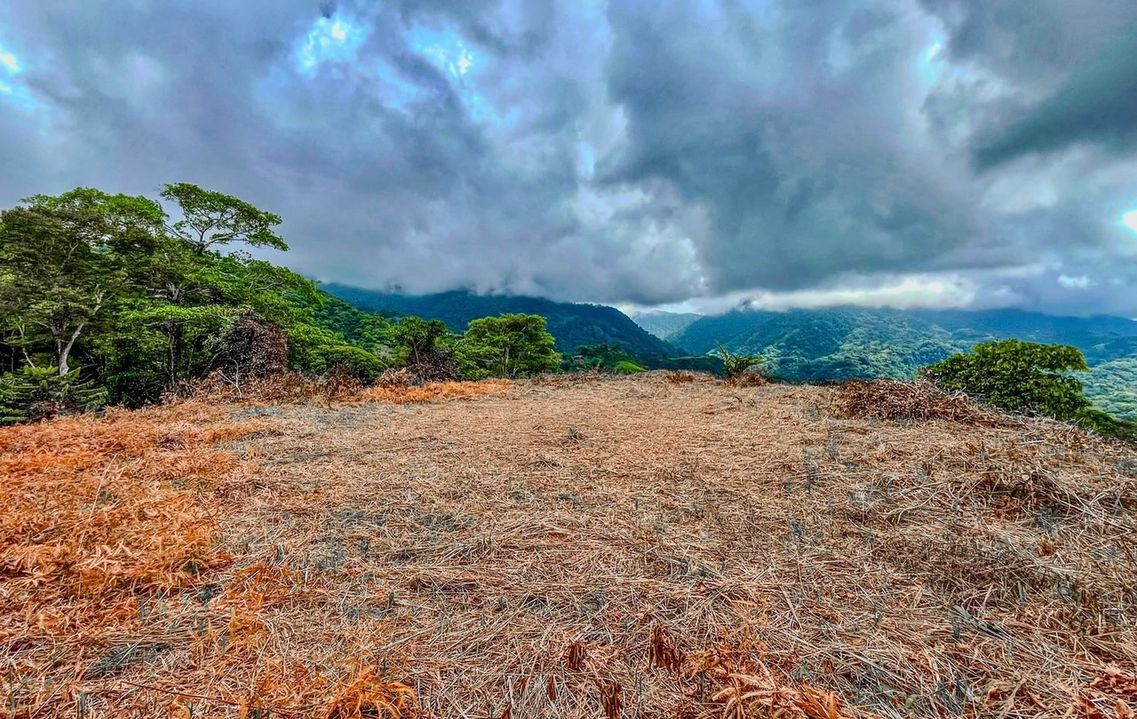 1.32 ACRES- Spectacular Ocean View In Tres Rios, Large Building Site, Legal Water And Electricity, Ready To Build & Close to Beaches!! - Gallery image 8