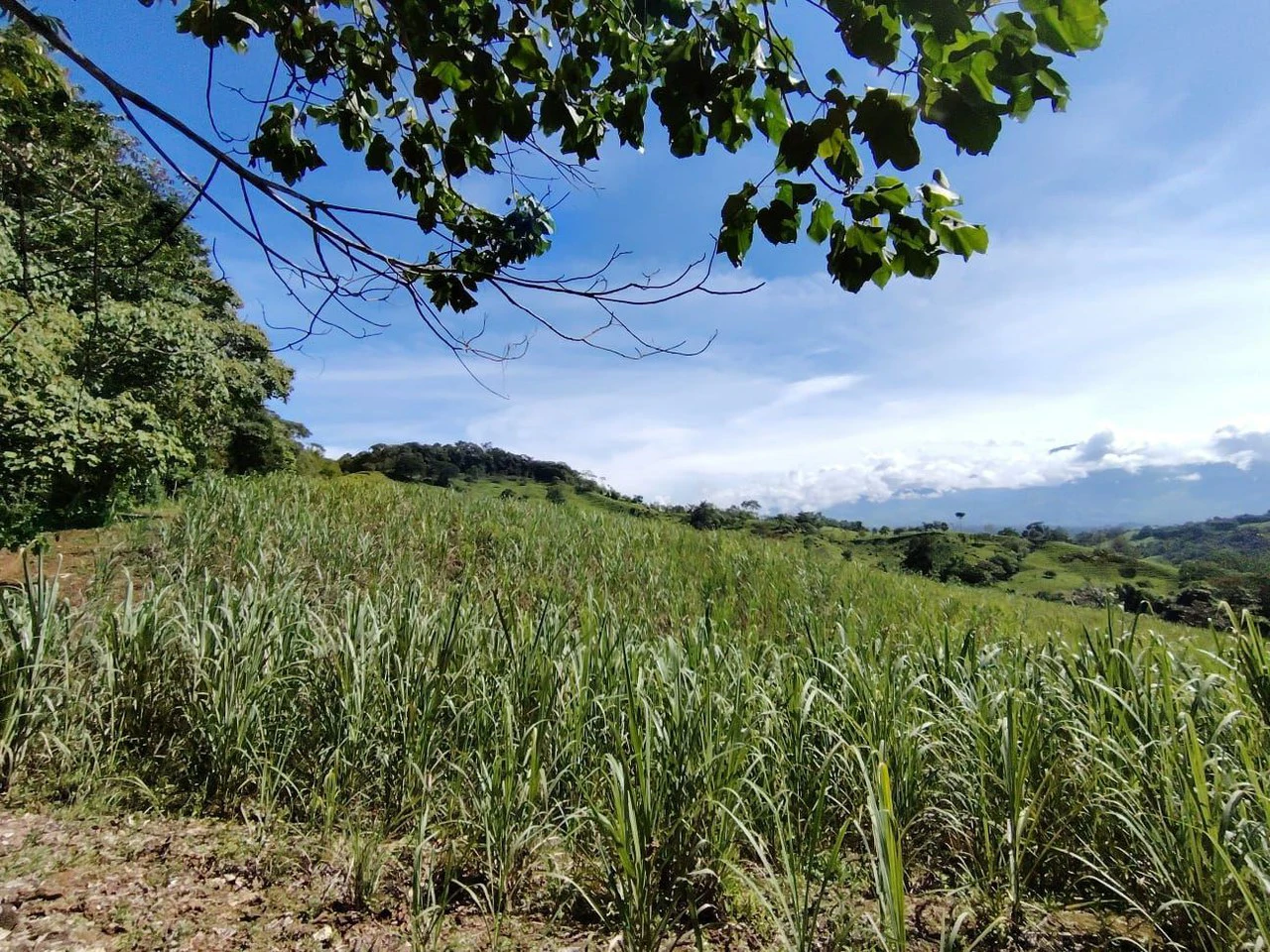 SE VENDE PROPIEDAD EN CAJÓN, COSTA RICA.: Mountain Home Construction Site For Sale in Cajón - Gallery image 14