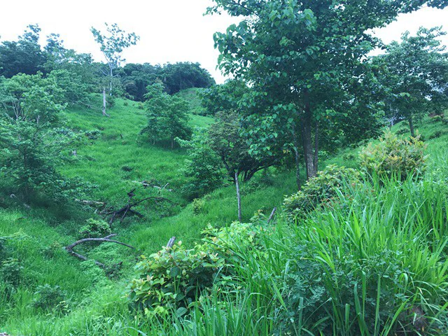 Ocean View Farm - Gallery image 10