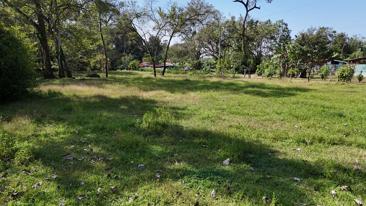 Prime Riverfront Property in Hatillo - Gallery image 12
