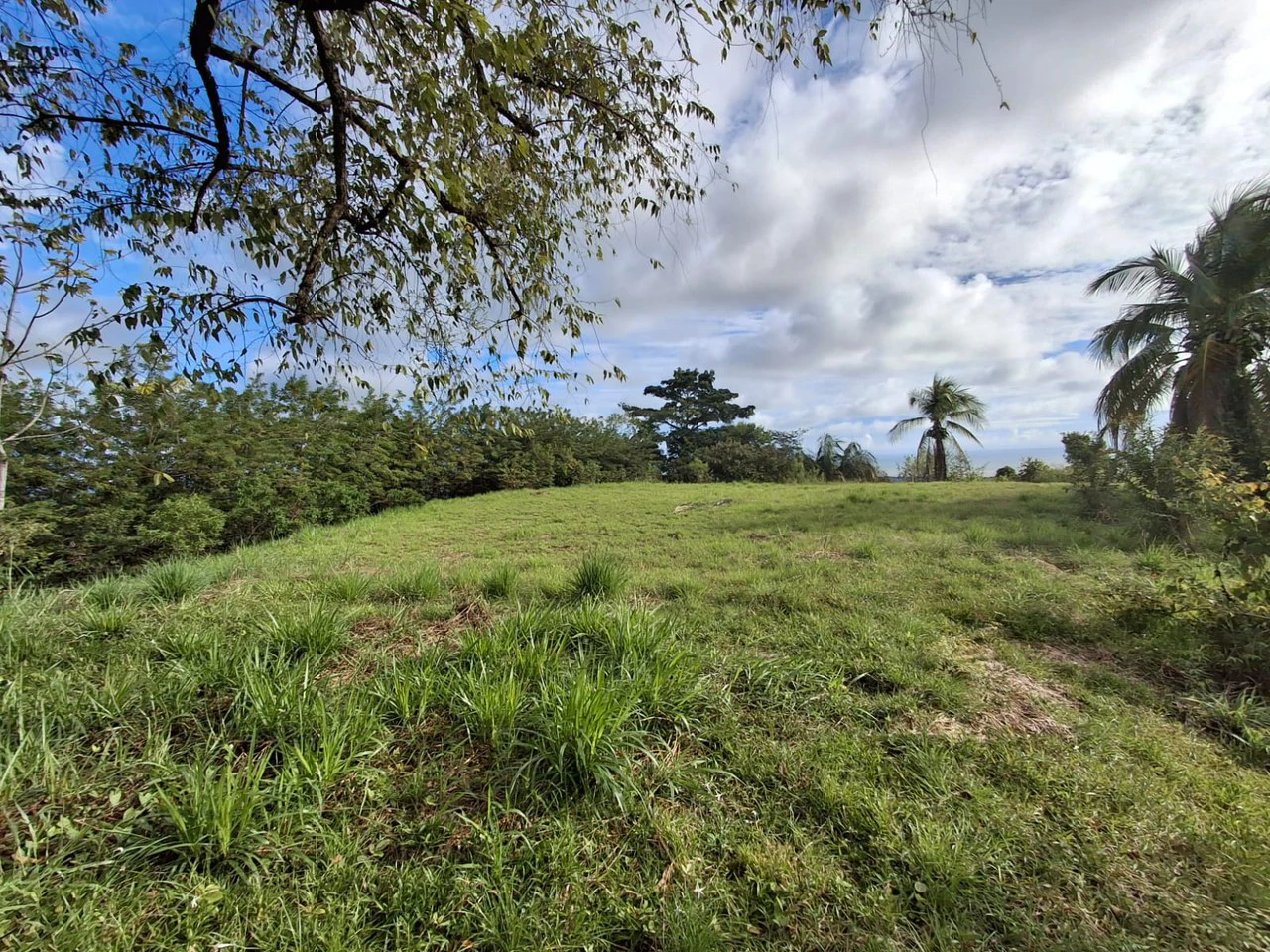 Hilltop Ocean Paradise: 10 ha (103,600m2) for private compound or development - Gallery image 6