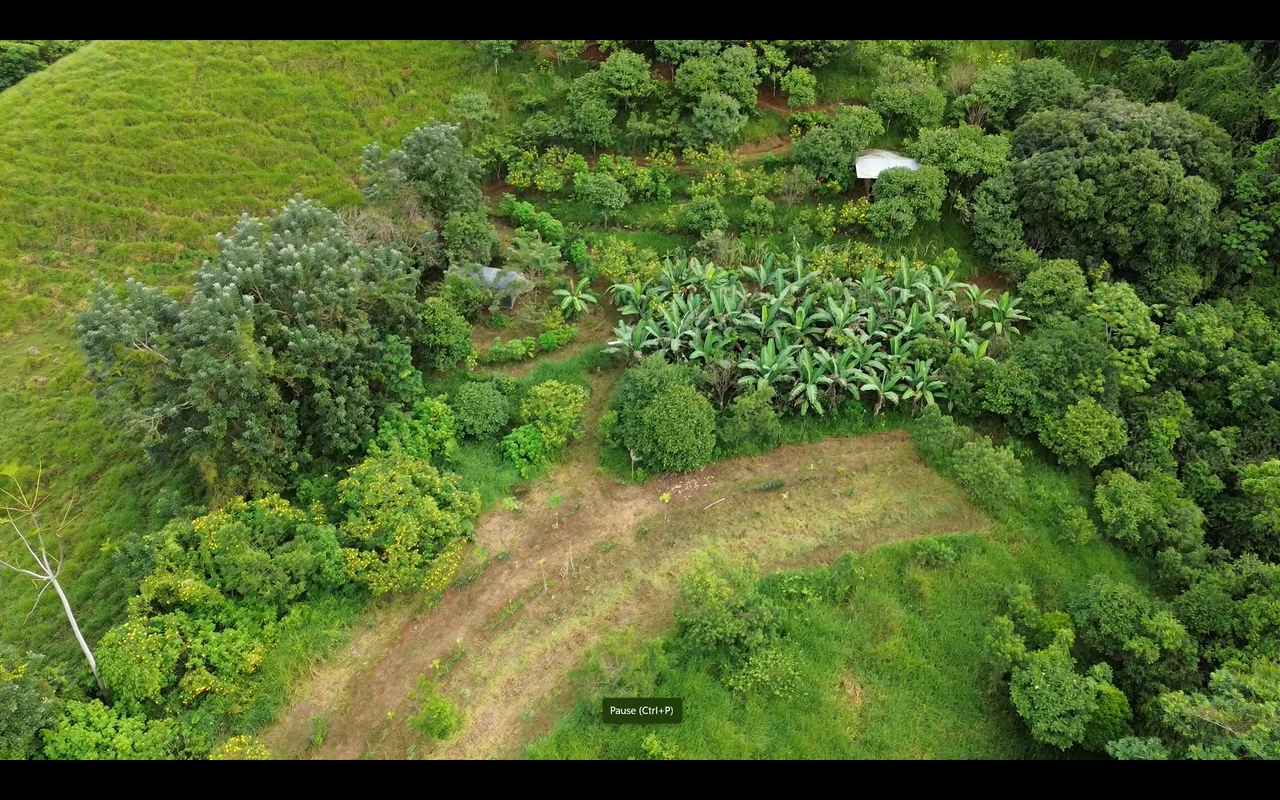 Self Sustainable Luxury Estate with Ocean & Waterfall Views in San Salvador Costa Rica - Gallery image 23