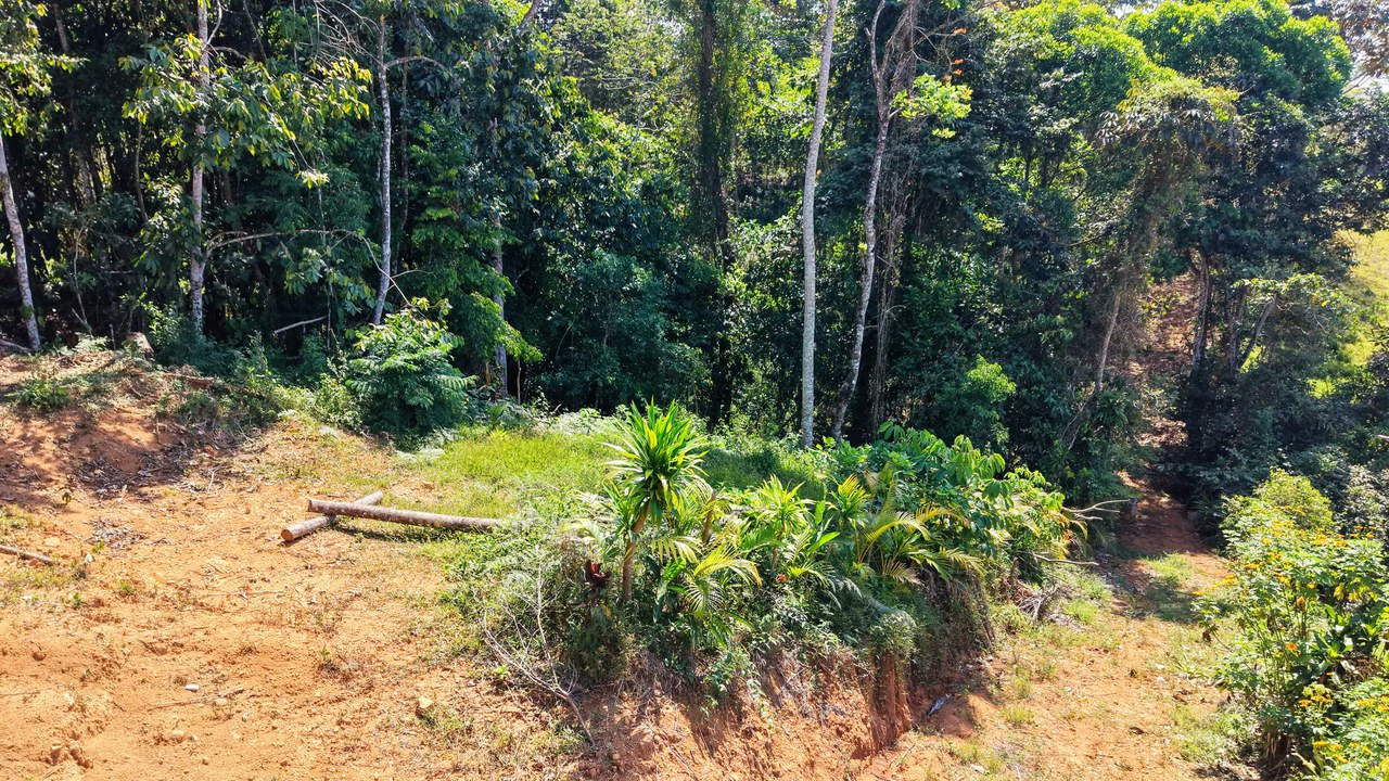 Countryside Home Construction Site For Sale in Cajón - Gallery image 11