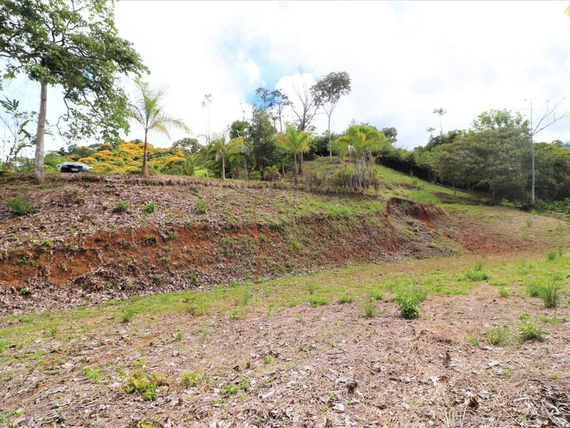 Captivating 3.15-Acre Property: Huge Pricedrop! Firesale Oceanview Lot in Tres Rios - Gallery image 33