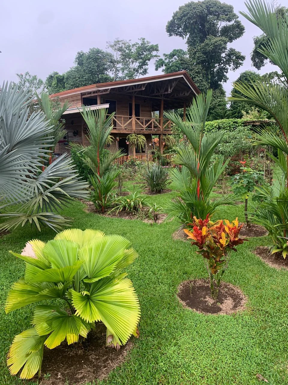 Charming Country Farmhouse with Profitable Ornamental Plant Farm: Great location near La Fortuna and Ciudad Quesada - Gallery image 6