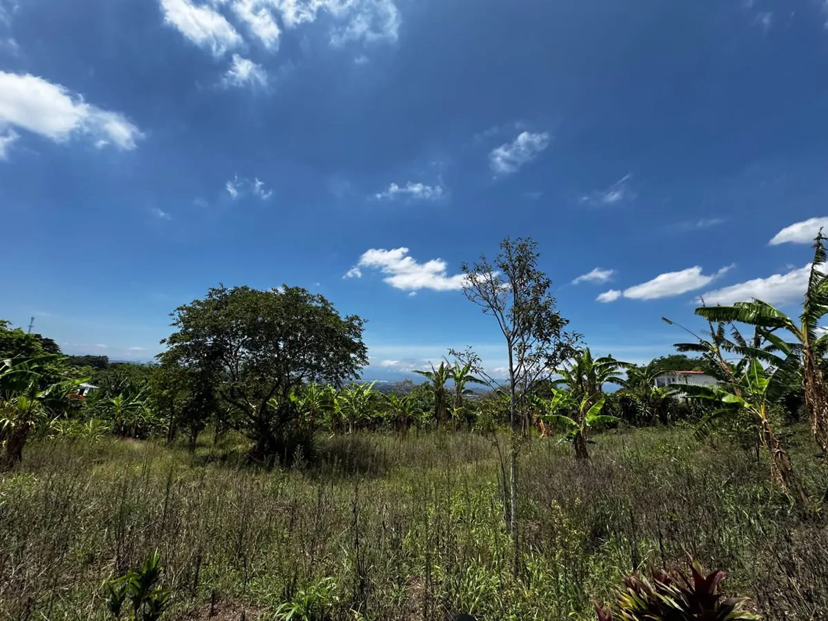 Finca with Views!: It's Perfect for You!
