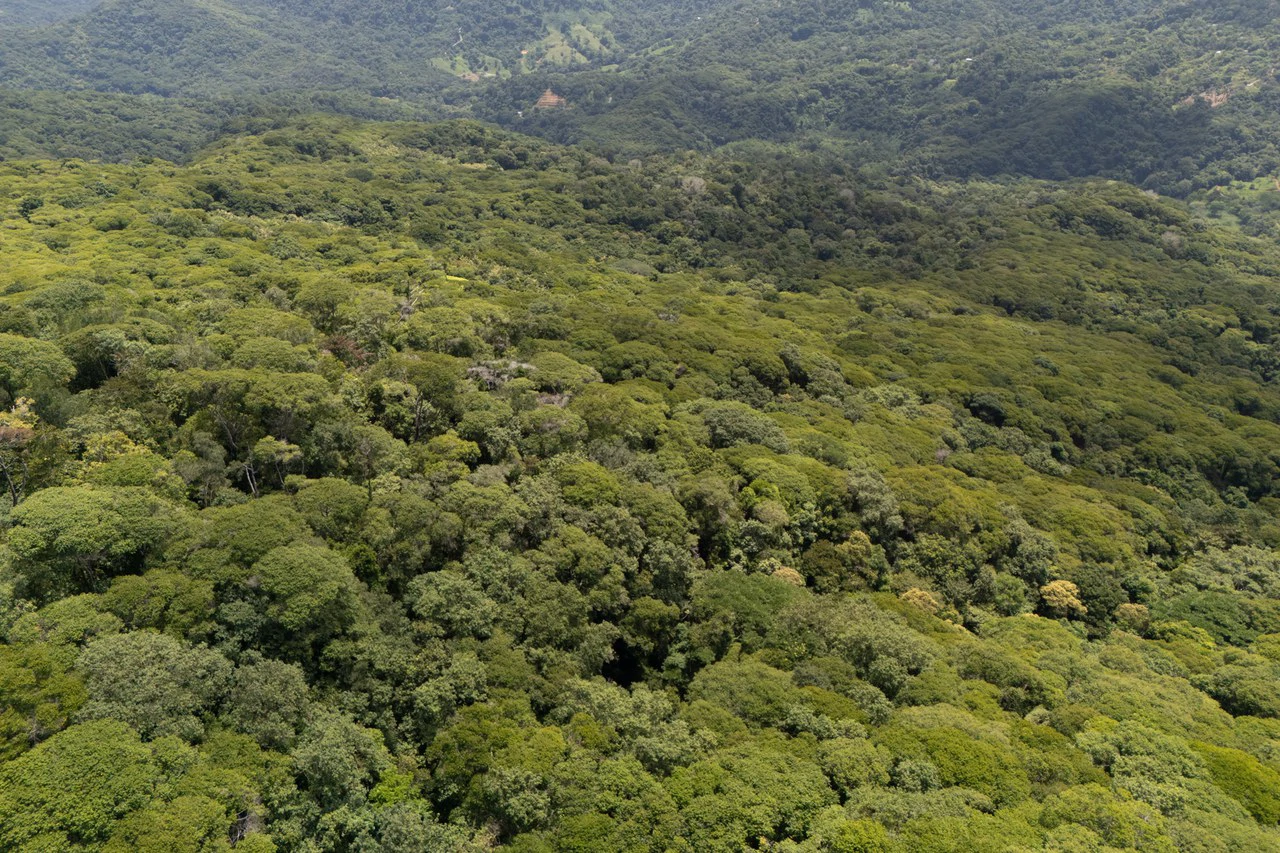 Near the Coast Home Construction Site For Sale in Dominical - Gallery image 17