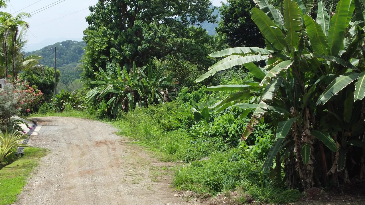 Ojochal - 1 Acre Ready To Build Jungle Lot, Ocean Breezes in Wildlife Corridore - Gallery image 13