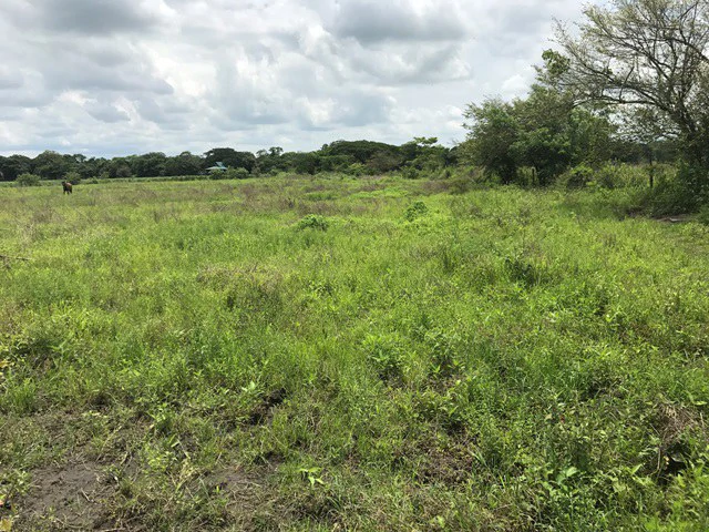 Property close to Liberia and Discovery Park