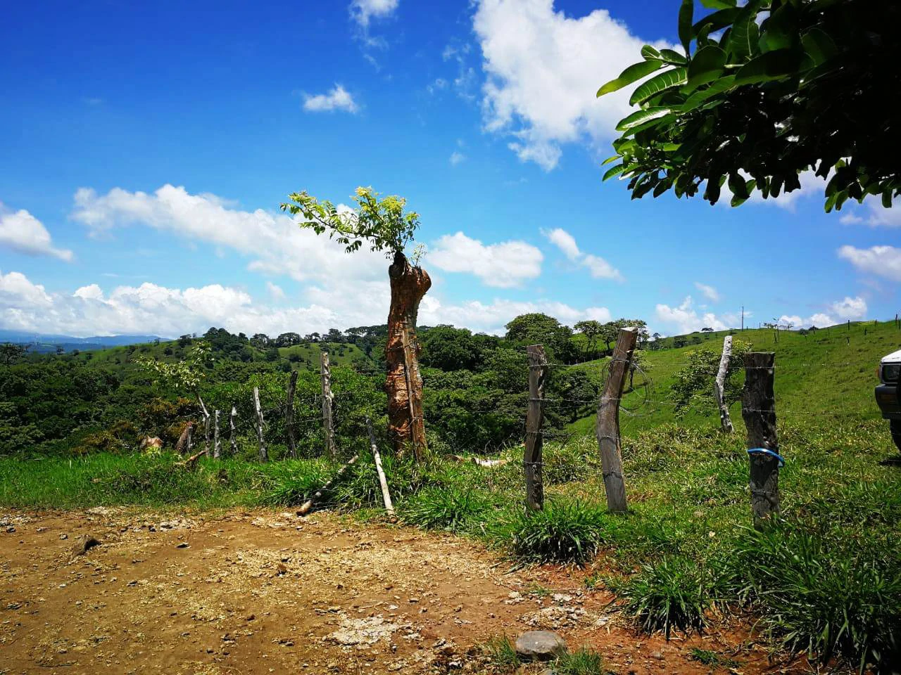 HACIENDA LOMBARDIA : Fully Operating Livestock Business - Gallery image 13