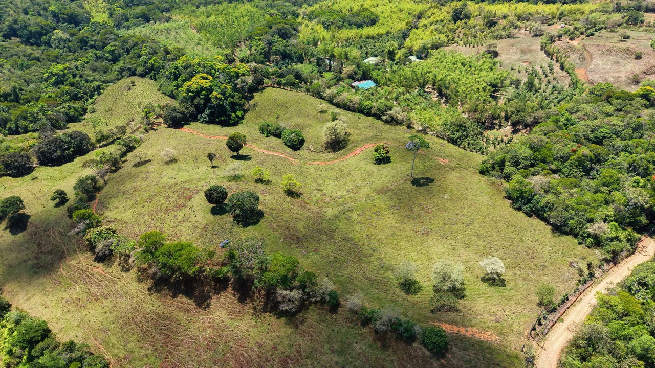 Agricultural Land For Sale in MORAZAN - Gallery image 8