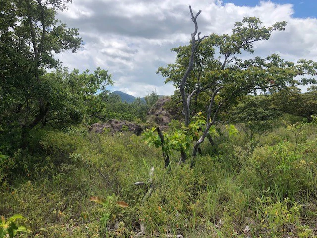 Mountain Farm for Sale in Liberia – Nature, Privacy, and High Investment Potential - Gallery image 30