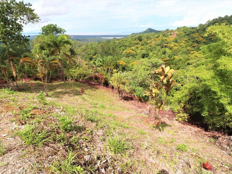Captivating 3.15-Acre Property: Huge Pricedrop! Firesale Oceanview Lot in Tres Rios - Gallery image 38