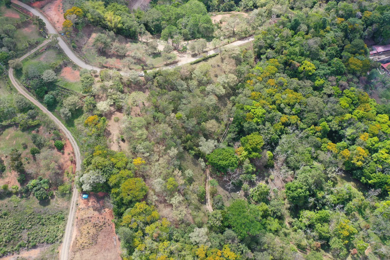 Elevated Two and a Half Acres with Cool Breeze in San Isidro del General - Gallery image 14