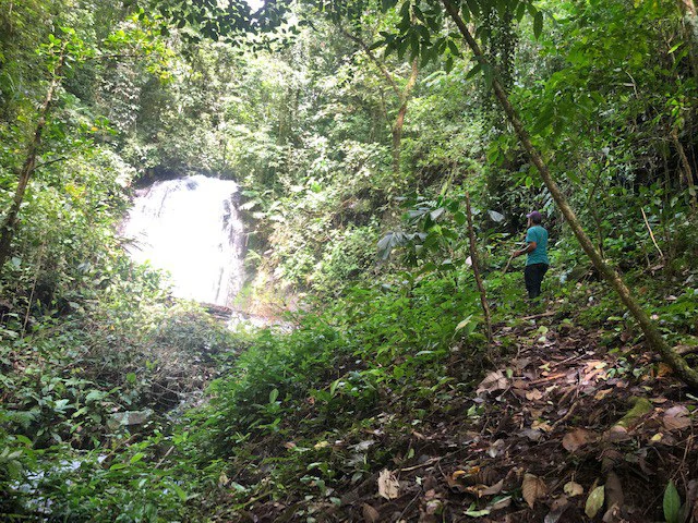 Cold & Hot springs surrounded by an overgrown farm, taken back by nature - Gallery image 60