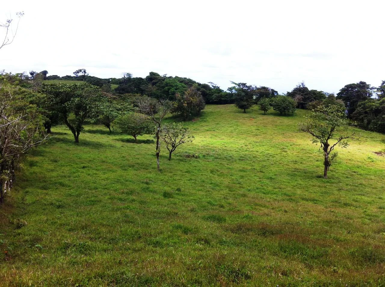 RINCON DEL PATO -  Hobby Farmers delight - Gallery image 3