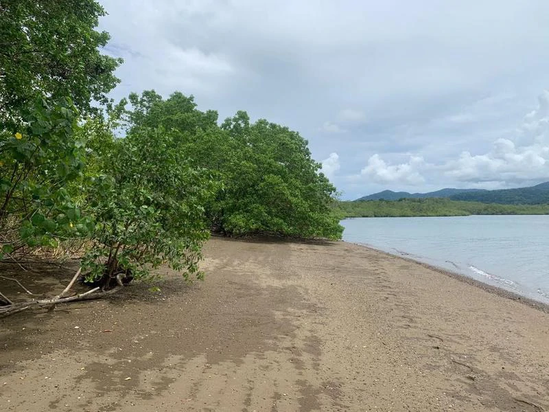 Biological Private Reserve OSA PULCRA - Gallery image 18