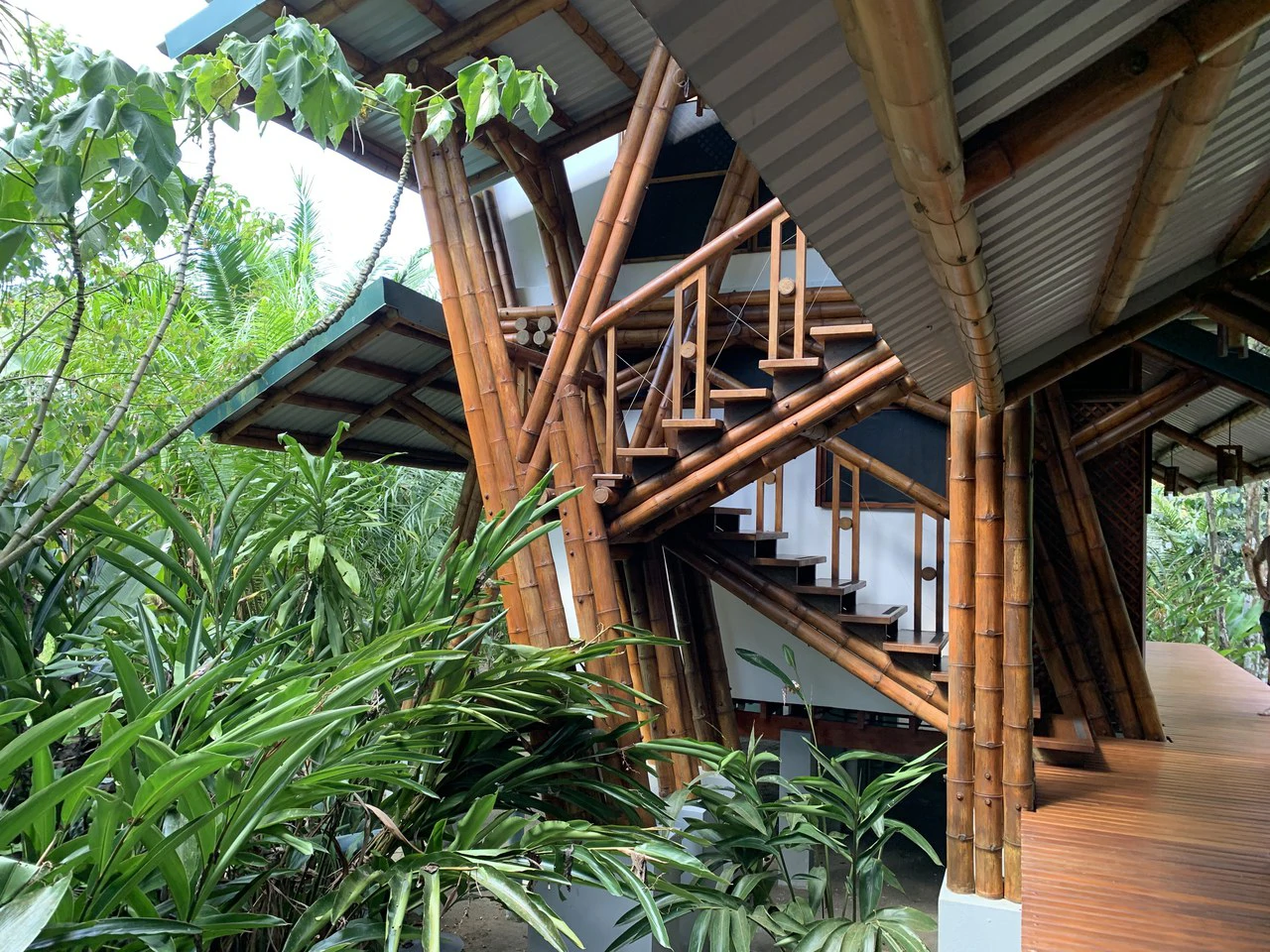 Jungle Beach Exotic Retreat - Gallery image 16