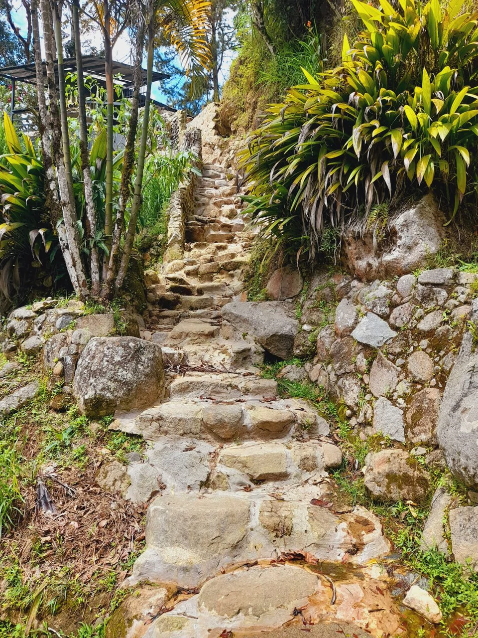 Mountain Retreat with River Views in San Gerardo de Rivas - Gallery image 4